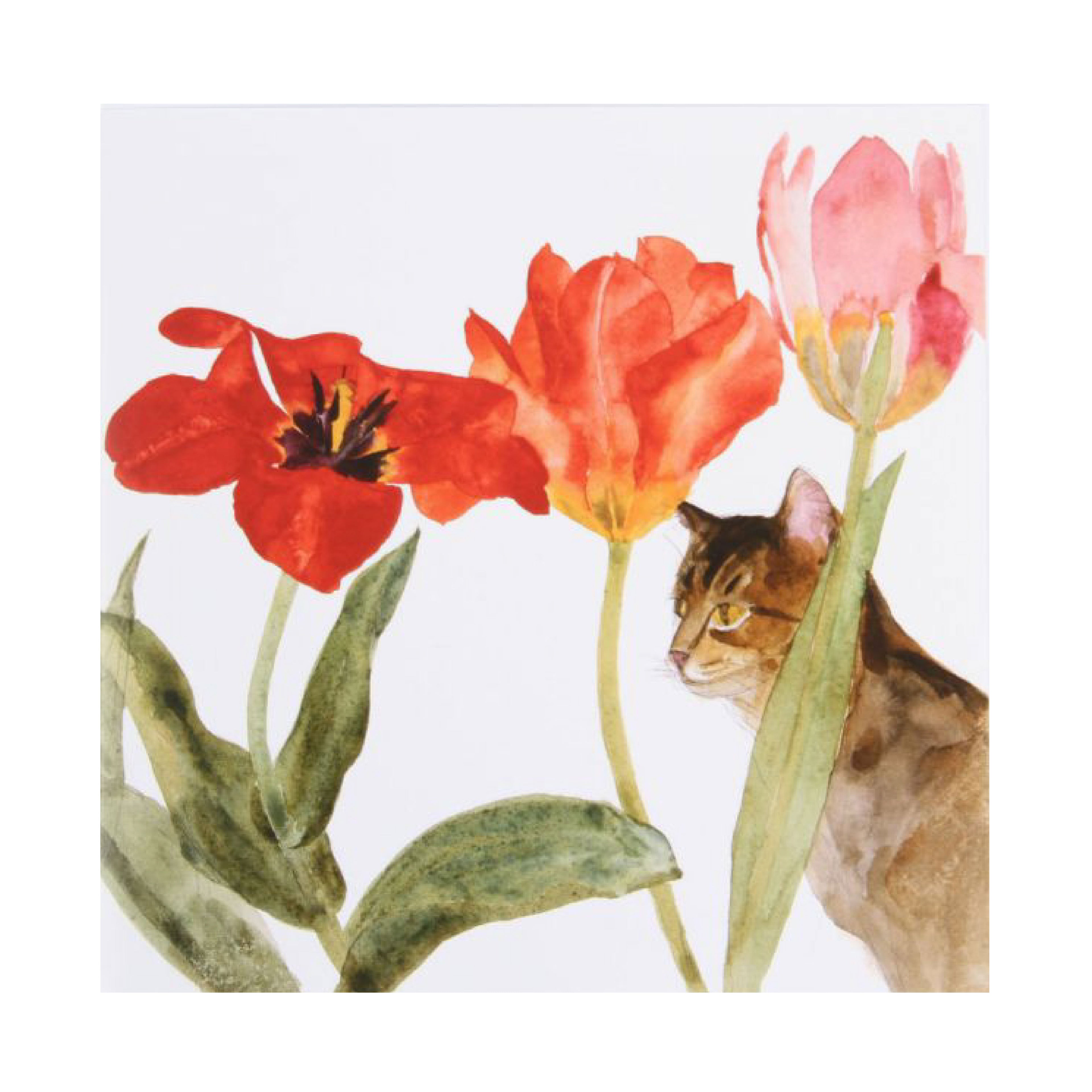 Cat Amongst Tulips