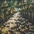 Into the Park
